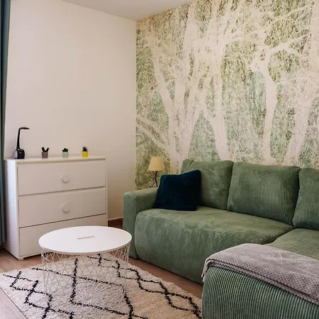 Apartment Le Petit Lemire - Jardin & Equipe Nancy