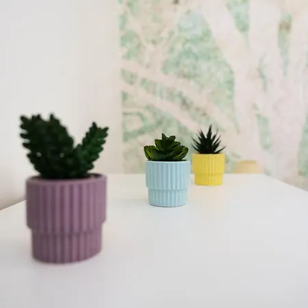 Apartment Le Petit Lemire - Jardin & Equipe Nancy